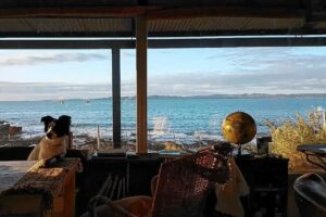 Arquitectura con alma: José Mehaudy y la casa que nació en una barranca de Camarones