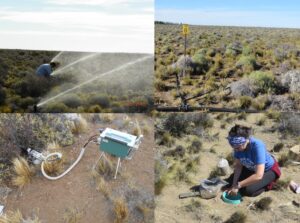 ¿Cómo afecta el calentamiento global a las estepas patagónicas?