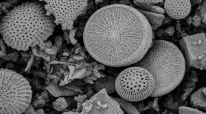 Ciencia argentina: Desarrollan un dispositivo doméstico para eliminar microplásticos del agua