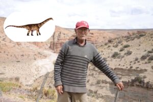 Bicharracosaurus: El nuevo gigante jurásico de Chubut que homenajea al poblador rural que lo halló