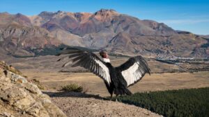 «Espíritu de los Andes»: El imponente regreso de Kosten a los cielos de la cordillera