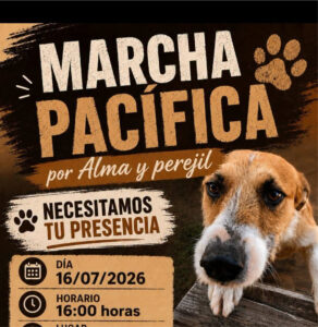 Convocan a una marcha pacífica «por Alma y Perejil» este jueves en Trelew