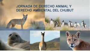 Rawson será sede de una jornada nacional sobre Derecho Animal y Ambiental