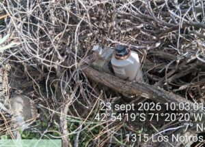 Hallan un artefacto incendiario en La Zeta: preocupación por intento de provocar fuego en la reserva
